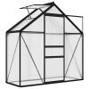 Greenhouse Anthracite Aluminum 14.3 ft²