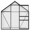 Greenhouse Anthracite Aluminum 14.3 ft²